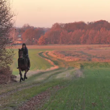Biologisch B & B Bergh En Bos