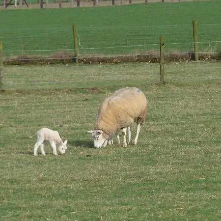 Biologisch B & B Bergh En Bos Bed & Breakfast Beek Gem Montferland