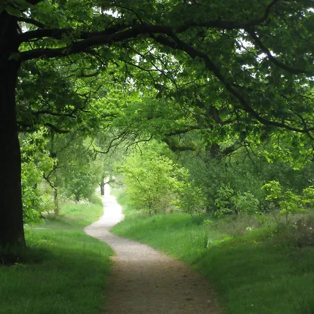 Biologisch B & B Bergh En Bos Bed & Breakfast *