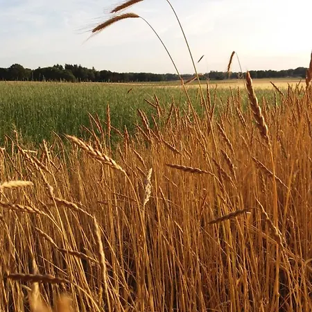 Bed & Breakfast Biologisch B & B Bergh En Bos