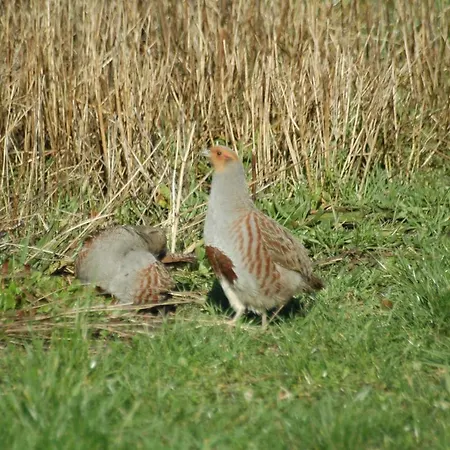 Biologisch B & B Bergh En Bos Bed & Breakfast