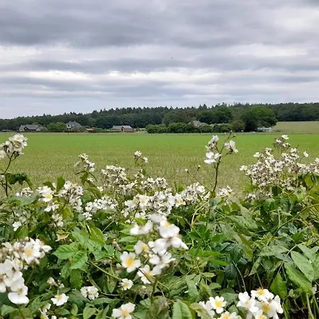 Biologisch B & B Bergh En Bos Bed & Breakfast