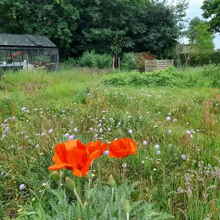 Biologisch B & B Bergh En Bos