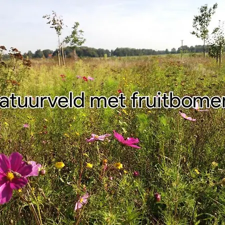Biologisch B & B Bergh En Bos Bed & Breakfast Beek Gem Montferland